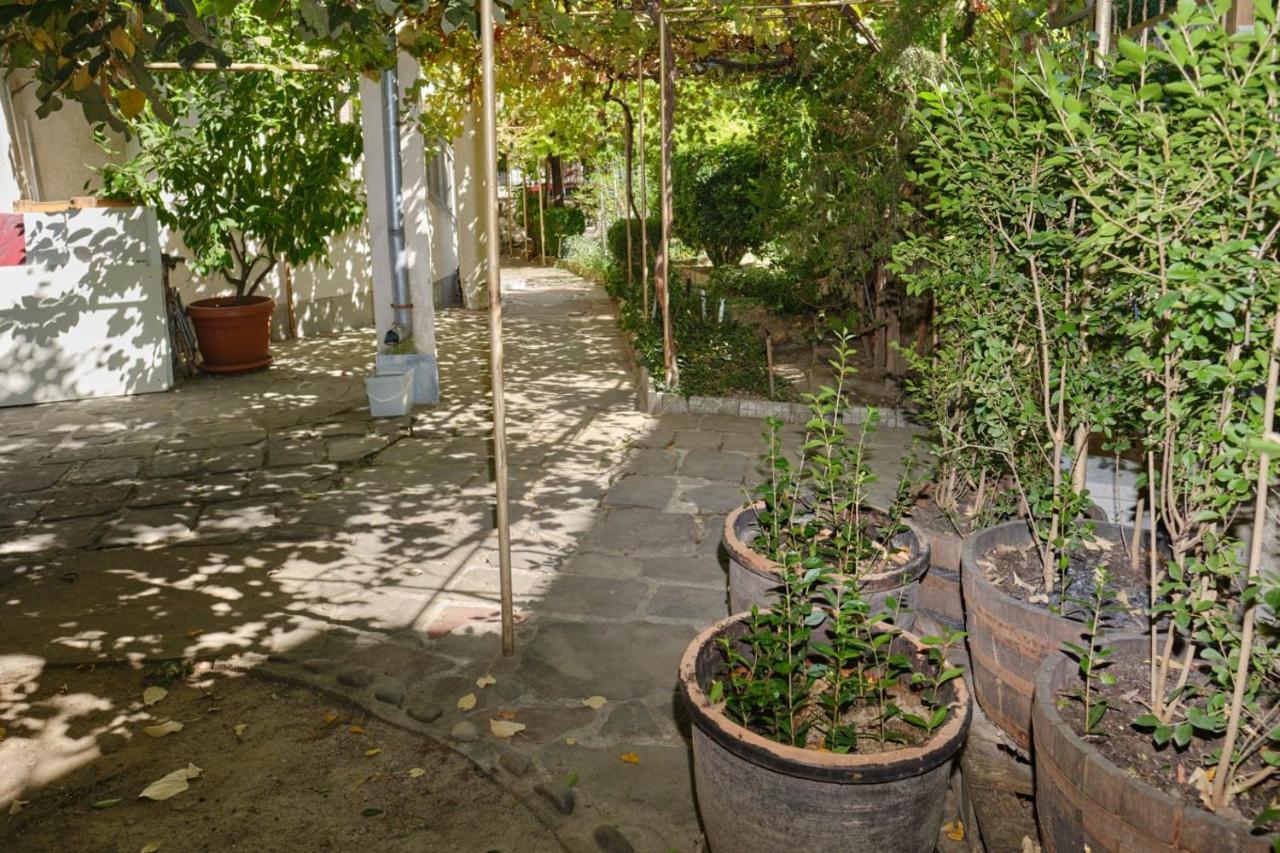 Mushrooms House Πλέβεν Εξωτερικό φωτογραφία